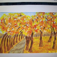 «Осень скверы украшает разноцветною листвой» -Станкус Настя
